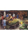 B. Méhes Vera - Nézz körül és mesélj róla II.