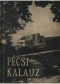 Kolta János - Pécsi kalauz