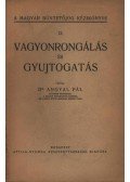 Dr. Angyal Pál - Vagyonrongálás és gyujtogatás