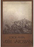Sobor Antal - Vidéki városban