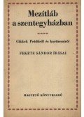 Fekete Sándor - Mezítláb a szentegyházban