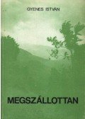 Gyenes István - Megszállottan