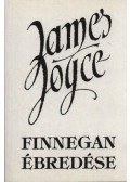 James Joyce - Finnegan ébredése