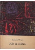 Oliveira, Carlos De - Méh az esőben