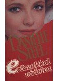 Danielle Steel - Erőszakkal vádolva