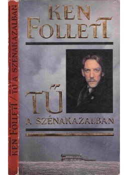 Ken Follett - Tű a szénakazalban Ken Follett - Tű a szénakazalban, Budapest 1991 antikvár könyv