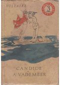 Voltaire - Candide / A vadember