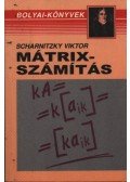 Scharnitzky Viktor - Mátrixszámítás