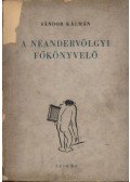 Sándor Kálmán - A Neandervölgyi főkönyvelő (dedikált)