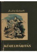 Guljaski, Andrej - Kémelhárítás