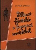 Dr. Máté Sándor - Pillanatfelvételek a fogorvosi rendelőből