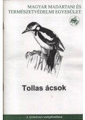 Lovászi Péter - Tollas ácsok