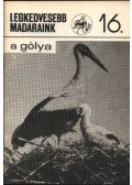 Schmidt Egon - Legkedvesebb madaraink 16. A gólya