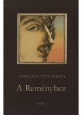 Csokonai Vitéz Mihály - A reményhez