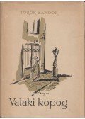 Török Sándor - Valaki kopog