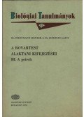 Steinmann Henrik,Zombori Lajos - A rovartest alaktani kifejezései - III. a potroh
