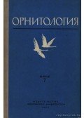 Larionov, V. F. (főszerk.) - Ornitológia 7. (Орнитология 7.)