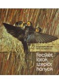 Schmidt Egon - Fecskét látok, szeplőt hányok