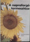 Perczel Mihály,Szendrő Péter,Wendler Gábor,Békési Pál,Koltay Jenő - A napraforgó termesztése