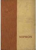 Dr. Gimes Endre - Sopron