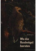 Jochen Kankel - Wo die Raubvögel horsten