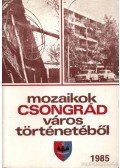 Bálint Gyula György - Mozaikok Csongrád város történetéből 1985