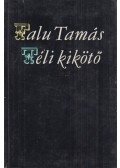 Falu Tamás - Téli kikötő