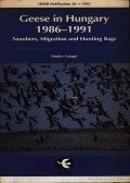 Faragó Sándor - Geese in Hungary (Vadlibák Magyarországon)