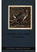 Glenn E. Rogers - The sharp-tailed grouse in Colorado