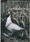 Dr. Wolfgang Makatsch - A sirály (Die Lachmöwe)