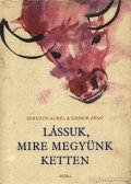 Bernáth Aurél & Szobor Zénó - Lássuk, mire megyünk ketten