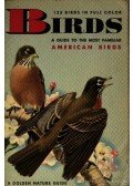 Herbert S. Zim - Birds (Madarak)