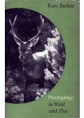 Kurt Bachor - Pirschgange in Wald und Flur (Vadak bescerkészése erdőn s mezőn)
