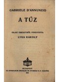 D'Annunzio, Gabriele - A tűz