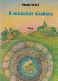 Pintér Pálné - A csodakút tündére