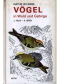 Felix, Jiri,Hísek, K. - Vögel in Wald und Gebirge
