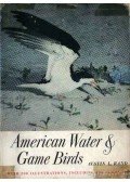 Rand, Austin L. - American Water & Game Birds