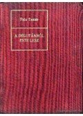 Falu Tamás - A délutánból este lesz