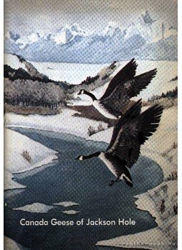 Dimmick, Ralph W. - Canada Geese of Jackson Hole, Cheyenne 1968 antikvár könyv