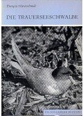 F. Haverschmidt - Die Trauerseeschwalbe