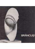 Sík Csaba - Brancusi
