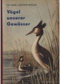 Müller, Dr. Hans-Joachim - Vögel unserer Gewasser