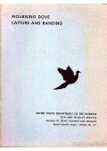 Több szerző - Mourning Dove Capture and Banding