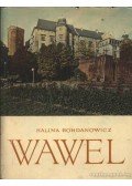 Bohdanowicz, Halina - Wawel