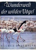 Dreschsler, Helmut - Wunderwelt der wildern Vögel