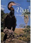 Dr. Robiller, Franz - Vögel in aller Welt