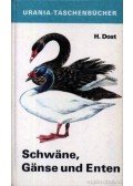 Hellmuth Dost - Schwane, Ganse und Enten