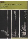 Füller, Fritz - Malaxis Hammarbya Liparis