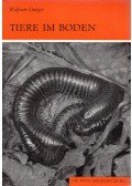 Dunger, Wolfram Dr. - Tiere im Boden