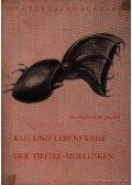 Jaeckel, Siegfried H. - Bau und Lebensweise der Tiefsee-Mollusken (A vámpír tintahal testfelépítése és életmódja)